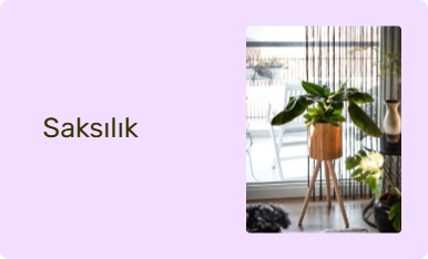 Saksılık