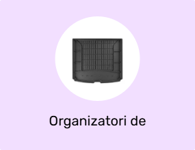 Organizatori de portbagaj auto