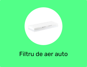 Filtru de aer auto