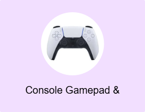 Console Gamepad & Joystick