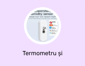 Termometru și umidificator