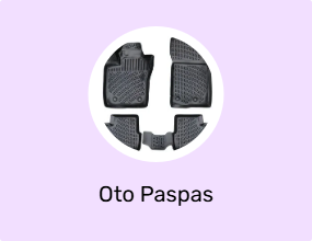 Oto Paspas