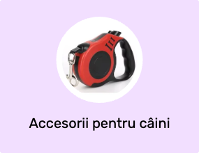 Accesorii pentru câini