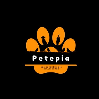 Petepia