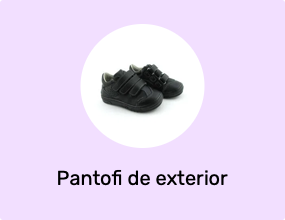 Pantofi de exterior