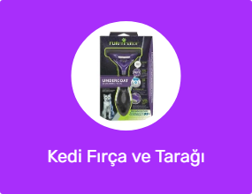 Kedi Fırça ve Tarağı