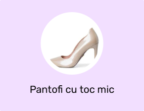 Pantofi cu toc mic