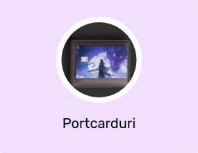 Portcarduri