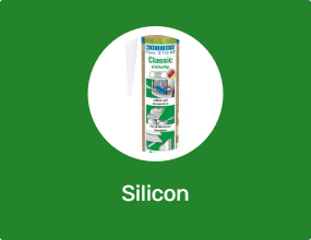 Silicon