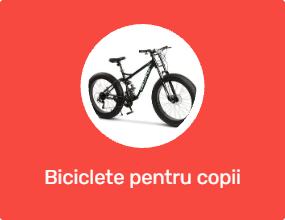 Biciclete pentru copii