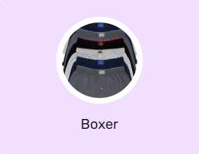 Boxer
