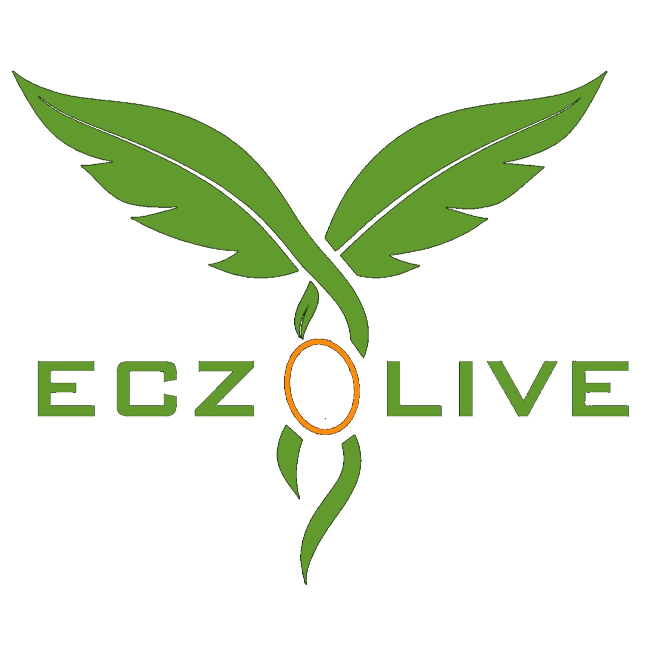 ECZOLİVE