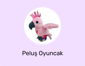 Peluş Oyuncak