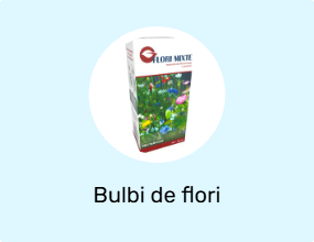 Bulbi de flori