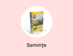 Semințe