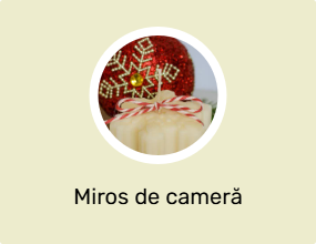 Miros de cameră