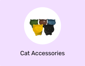 Cat Accessories