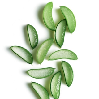 SEMBOL GLOBAL