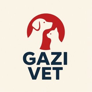Gazi vet