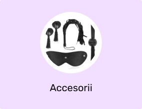 Accesorii