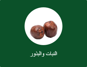 النبات والبذور