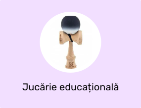 Jucărie educațională