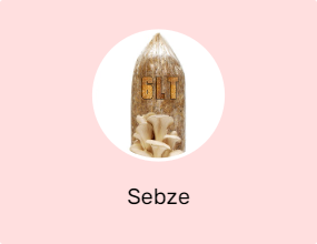 Sebze