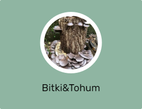 Bitki&Tohum