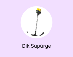 Dik Süpürge