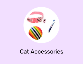 Cat Accessories
