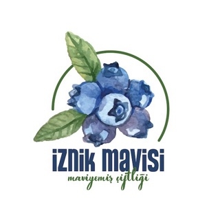 İZNİK MAVİSİ