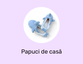 Papuci de casă