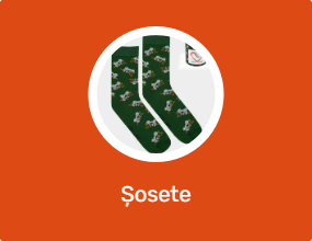 Șosete