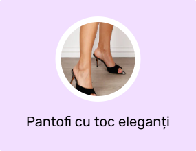 Pantofi cu toc eleganți