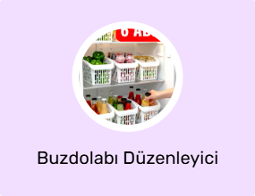 Buzdolabı Düzenleyici