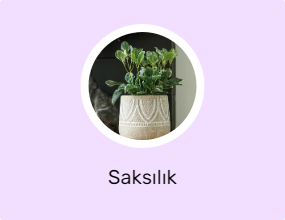 Saksılık