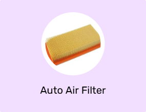 Auto Air Filter