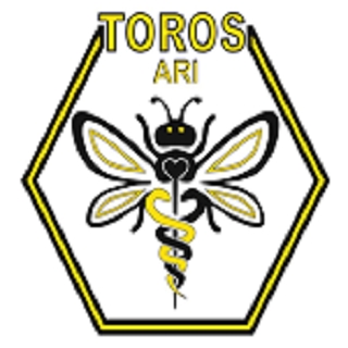 TOROS ARI