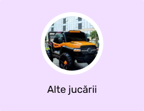 Alte jucării