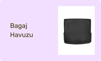 Bagaj Havuzu