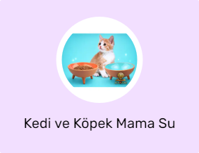 Kedi ve Köpek Mama Su Kabı