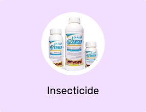Insecticide