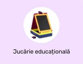 Jucărie educațională
