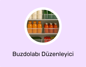 Buzdolabı Düzenleyici