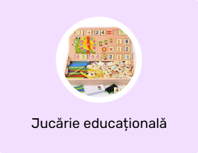 Jucărie educațională
