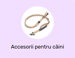 Accesorii pentru câini