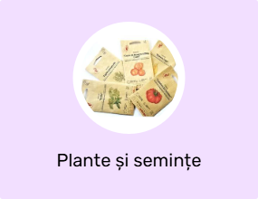 Plante și semințe