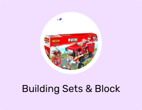 Building Sets & Block Toys