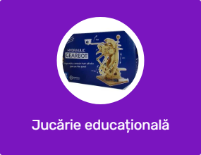Jucărie educațională