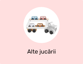 Alte jucării